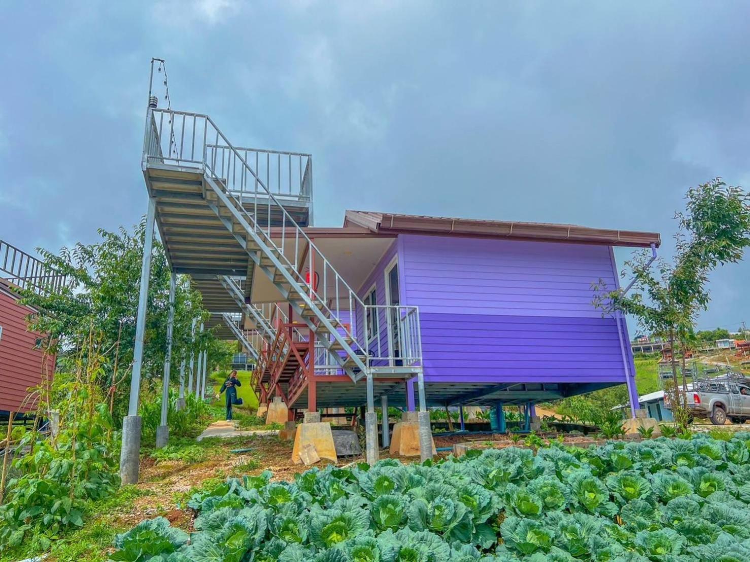 Rai Saeng Tawan At Phu Thap Buek Hotel Lom Kao Luaran gambar