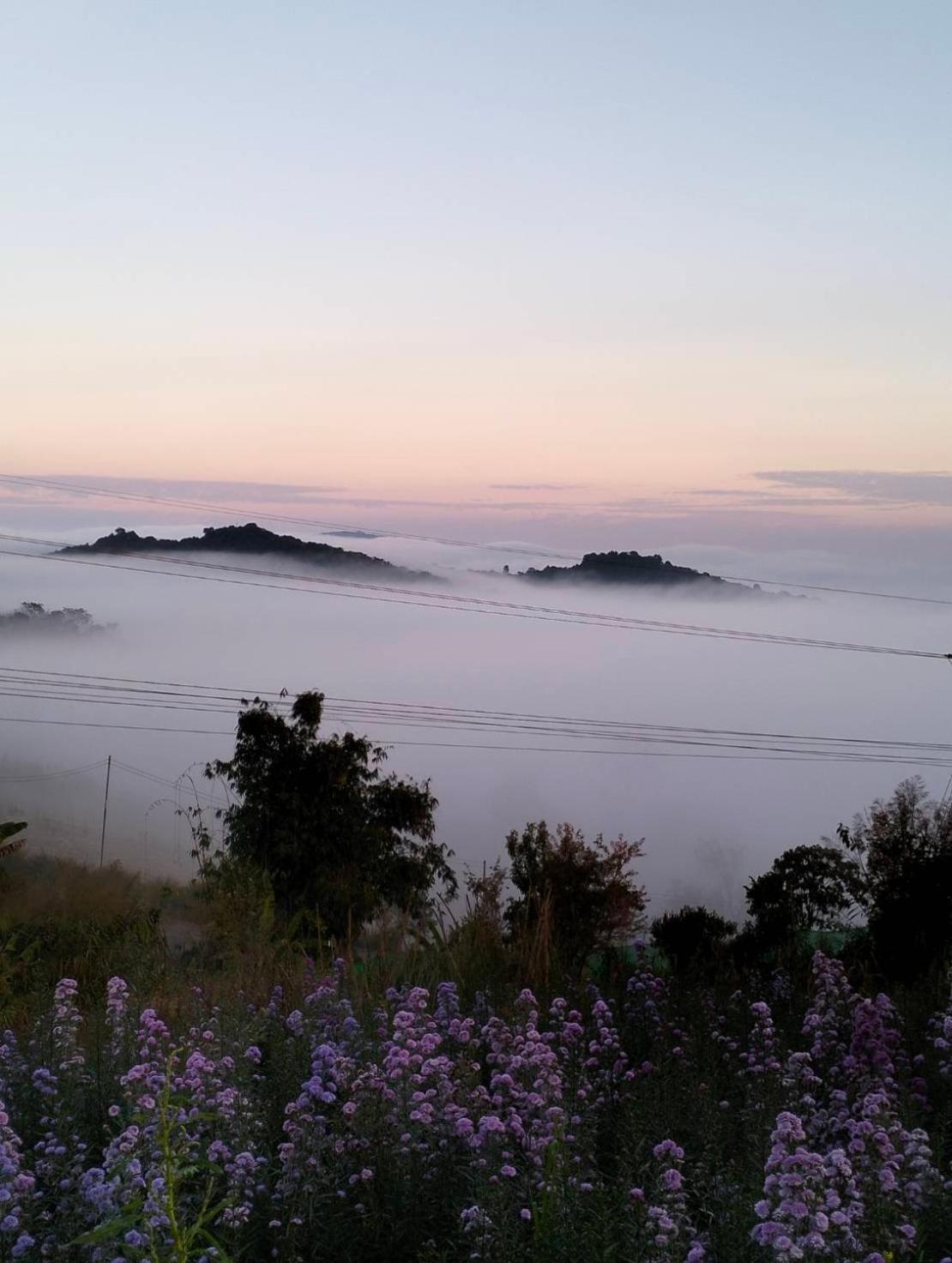 Rai Saeng Tawan At Phu Thap Buek Hotel Lom Kao Luaran gambar
