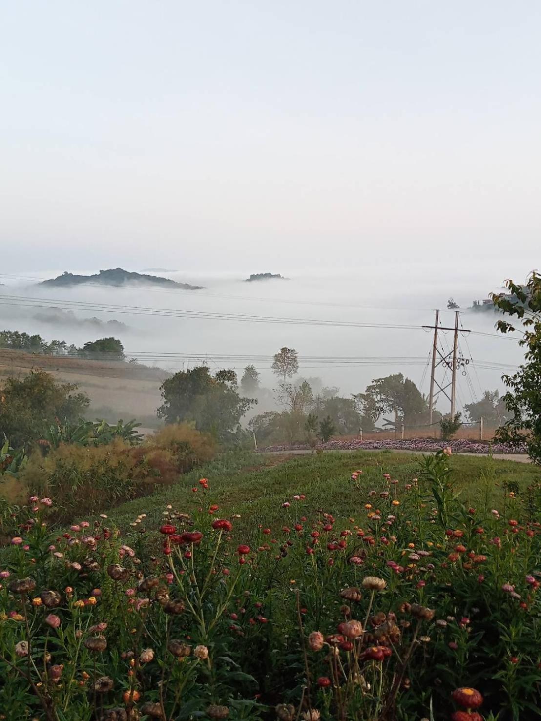 Rai Saeng Tawan At Phu Thap Buek Hotel Lom Kao Luaran gambar