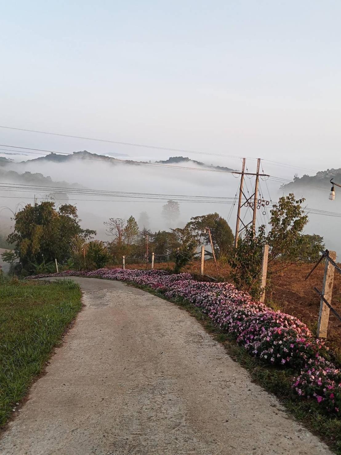 Rai Saeng Tawan At Phu Thap Buek Hotel Lom Kao Luaran gambar